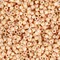Miyuki Delica Seed Beads – Size 11/0 (1.6 mm), DB0208, Opaque Tan, 7.2 g, Approx. 1440 Beads, Made in Japan